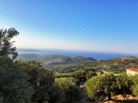 Stavromenos-Sitia: Building plot with sea view and very old olive trees ...